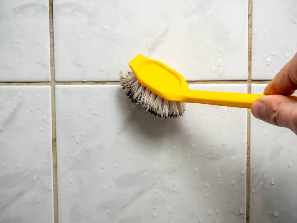 Best Same-Day Mold Removal  in Wood Dale, IL