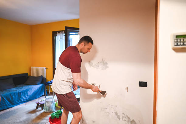 Best Attic Mold Removal  in Wood Dale, IL